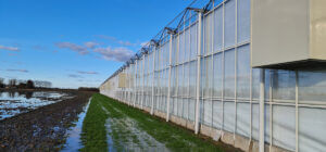 Groentetelers zien energiebesparing
