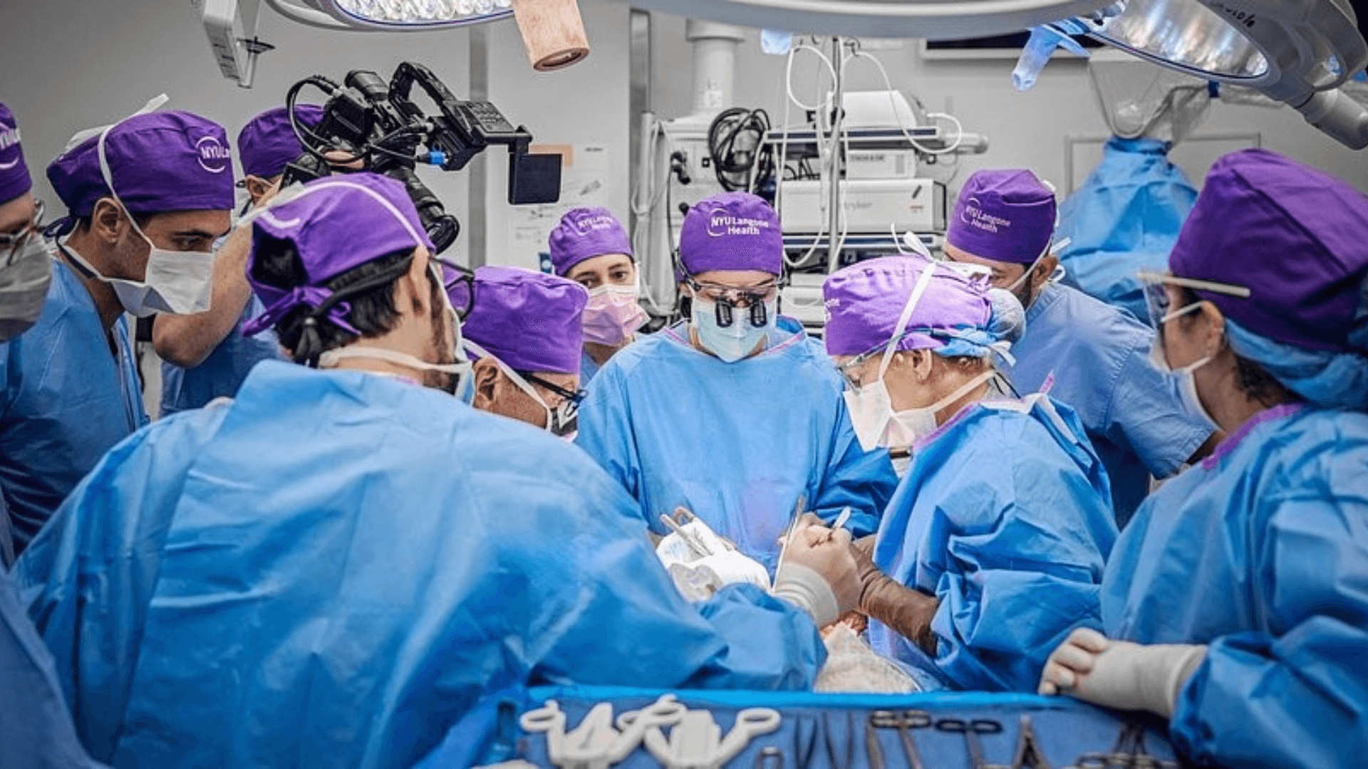 oogtransplantatie