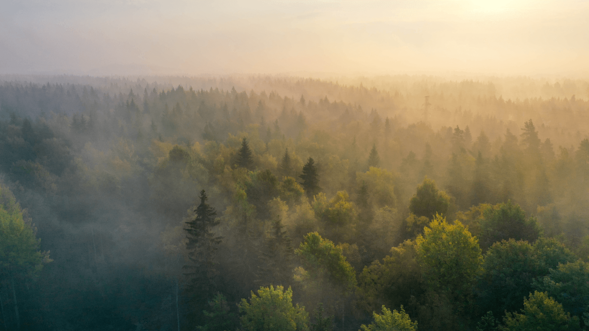 Finland maakt plastic uit CO2