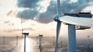 Nederlands windpark
