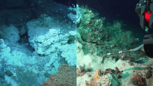 onderzeese gasbronnen