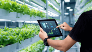 innovatie-klimaatbeheersing