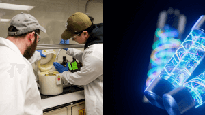 elektrische aal batterij