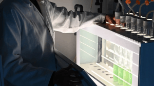biologische waterstof